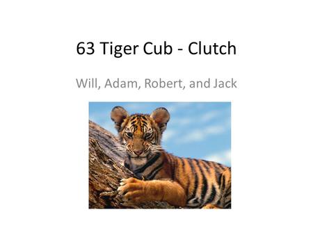 63 Tiger Cub - Clutch Will, Adam, Robert, and Jack.