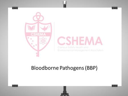 Bloodborne Pathogens (BBP). Objectives Applicable regulations Common BBP/OPIM Control Measures PPE Emergency Response.