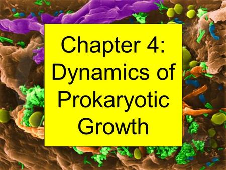 Chapter 4: Dynamics of Prokaryotic Growth. Important Point: