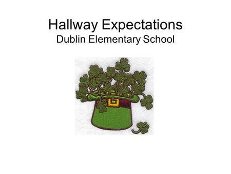 Hallway Expectations Dublin Elementary School