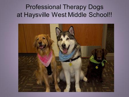 Professional Therapy Dogs at Haysville West Middle School!!