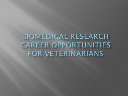 A Day in the Life of a Clinical Laboratory Animal Veterinarian  Research Opportunities  Fun Facts.