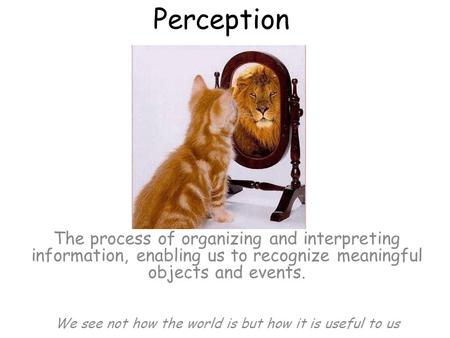 Perception The process of organizing and interpreting information, enabling us to recognize meaningful objects and events. We see not how the world is.