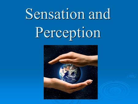 Sensation and Perception. Preassement to Sensation and Perception.