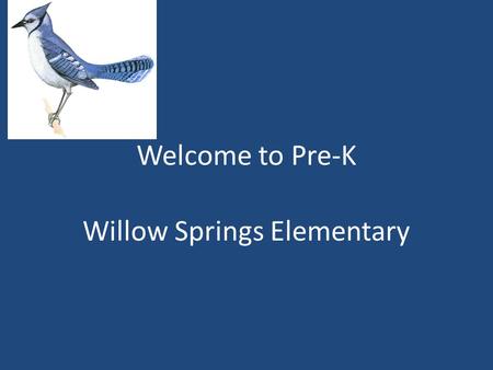Welcome to Pre-K Willow Springs Elementary. Drop Off Procedures First two weeks of School If your child will be eating breakfast: – They are able to enter.