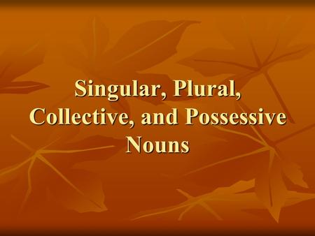 Singular, Plural, Collective, and Possessive Nouns