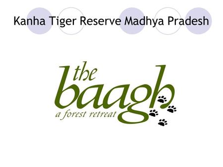 Kanha Tiger Reserve Madhya Pradesh. Location The Baagh – a forest retreat, Mukki Gate, Kanha National Park, Madhya Pradesh Road Map - Madhya Pradesh.