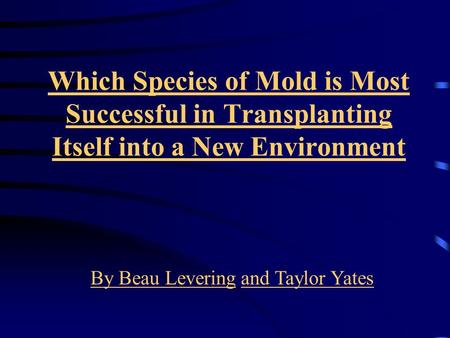 Which Species of Mold is Most Successful in Transplanting Itself into a New Environment By Beau Leveringand Taylor Yates.