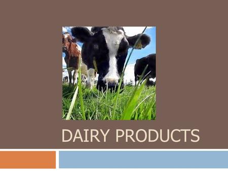 DAIRY PRODUCTS. Dairy Products  Essential as beverages as well as key ingredients in many dishes  Cheese is an important food served by itself or as.