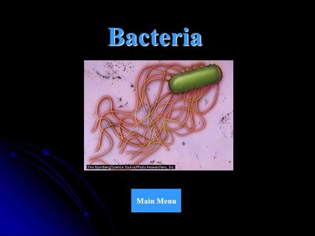 Bacteria Main Menu Classification Obtaining Energy Respiration Growth and Reproduction Importance Of Bacteria Title Page.