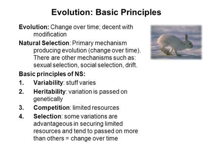 Evolution: Basic Principles Evolution: Change over time; decent with modification Natural Selection: Primary mechanism producing evolution (change over.