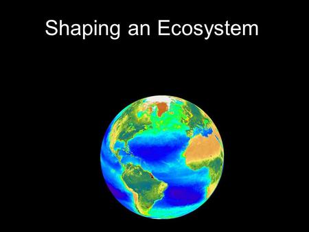 Shaping an Ecosystem. WHAT SHAPES AN ECOSYSTEM? __________________ All the living things an organism interacts with __________________ All the non-living.