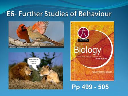 E6- Further Studies of Behaviour