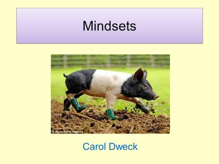 Mindsets Carol Dweck. Which of these statements do you agree with? 1.Your intelligence is something very basic about you that you can’t change very much.