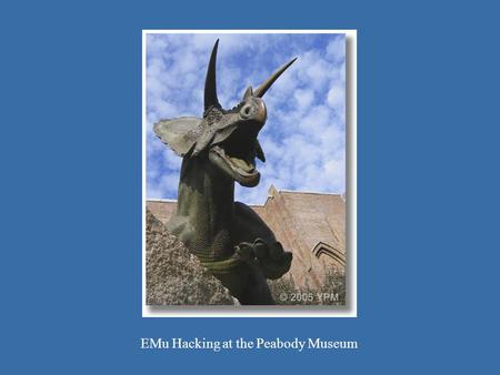Toro 1 EMu Hacking at the Peabody Museum. Yale campus.