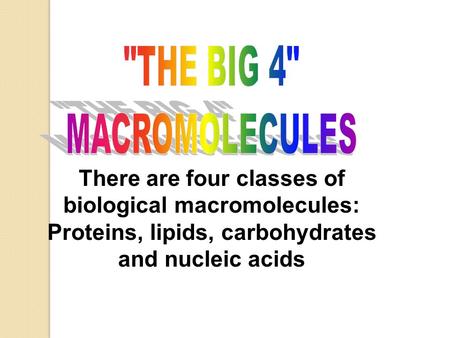 THE BIG 4 MACROMOLECULES