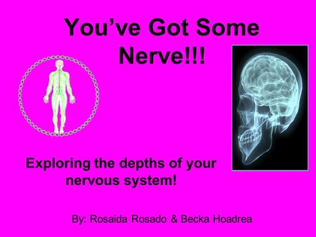 You’ve Got Some Nerve!!! Exploring the depths of your nervous system! By: Rosaida Rosado & Becka Hoadrea.