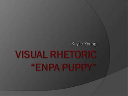 Visual Rhetoric “ENPA Puppy”