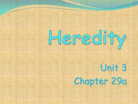 Heredity Unit 3 Chapter 29a.
