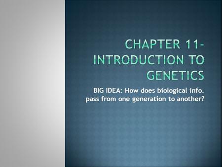 Chapter 11- Introduction to Genetics