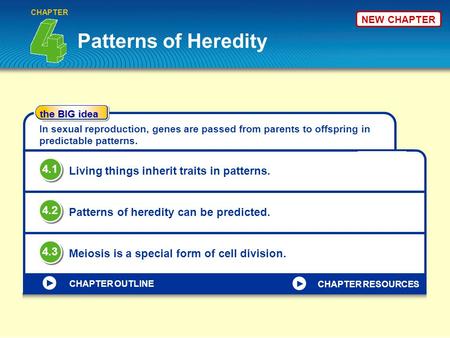 Patterns of Heredity 4.1 Living things inherit traits in patterns. 4.2