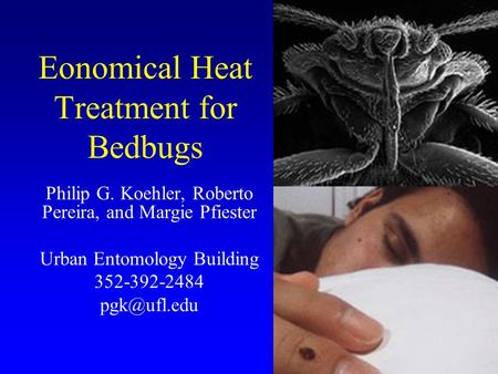 Eonomical Heat Treatment for Bedbugs Philip G. Koehler, Roberto Pereira, and Margie Pfiester Urban Entomology Building 352-392-2484