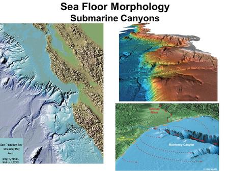 Sea Floor Morphology Submarine Canyons. Mosher, et al., 2004.