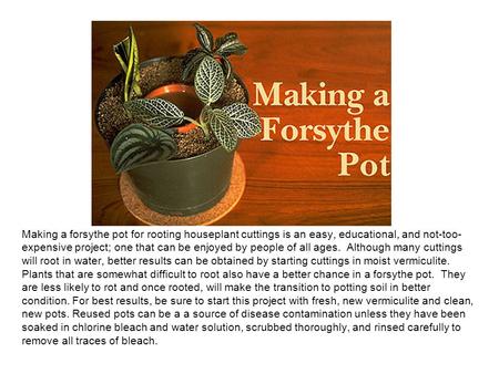 Making a forsythe pot for rooting houseplant cuttings is an easy, educational, and not-too- expensive project; one that can be enjoyed by people of all.