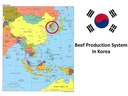 Beef Production System in Korea. Table of Content Overview of Republic of Korea Beef consumption Domestic Beef Production and Imported beef The Hanwoo.