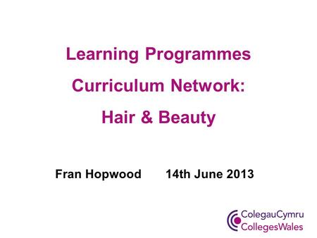 Learning Programmes Curriculum Network: Hair & Beauty Fran Hopwood 14th June 2013.