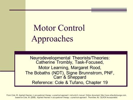 Motor Control Approaches