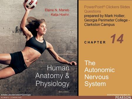 14 The Autonomic Nervous System.