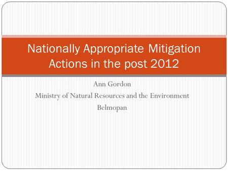 Ann Gordon Ministry of Natural Resources and the Environment Belmopan Nationally Appropriate Mitigation Actions in the post 2012.