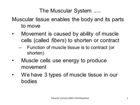 The Muscular System (rev 3-10)