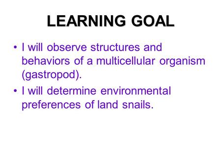 LEARNING GOAL I will observe structures and behaviors of a multicellular organism (gastropod). I will determine environmental preferences of land snails.