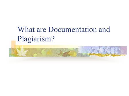 What are Documentation and Plagiarism?