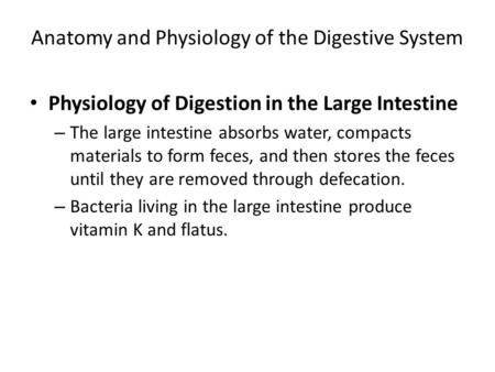 Anatomy and Physiology of the Digestive System Physiology of Digestion in the Large Intestine – The large intestine absorbs water, compacts materials to.