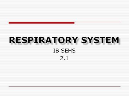 Respiratory system IB SEHS 2.1.