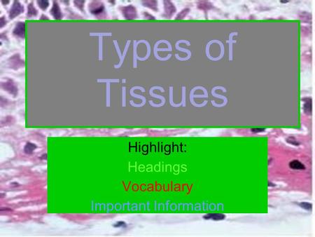 Terminology Tissues – group of cells that carry out specialized activities Histo = Tissue …ology = study of Pathologists – Study cells and tissue; diseased.