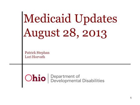 1 Medicaid Updates August 28, 2013 Patrick Stephan Lori Horvath.