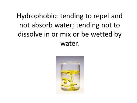 Hydrophobic: tending to repel and not absorb water; tending not to dissolve in or mix or be wetted by water.