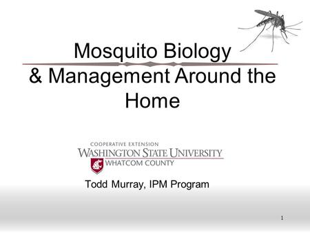 1 Mosquito Biology & Management Around the Home Todd Murray, IPM Program.