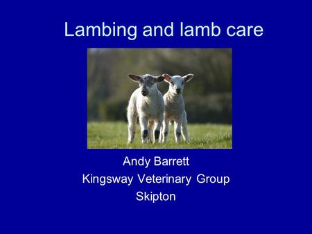 Lambing and lamb care Andy Barrett Kingsway Veterinary Group Skipton.