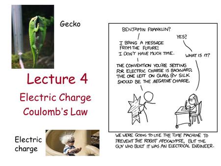 Lecture 4 Electric Charge Coulomb’s Law Gecko Electric charge.