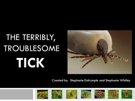 THE TERRIBLY, TROUBLESOME TICK Created by: Stephanie Dalrymple and Stephanie Whitley.