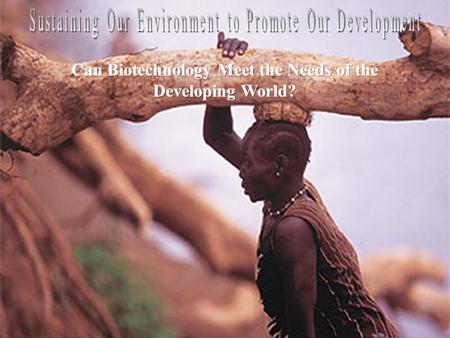 The Problem: Environmental degradation in the developing world impacts political and social instability Rwanda, 1994 -Population explosion -Shortage of.