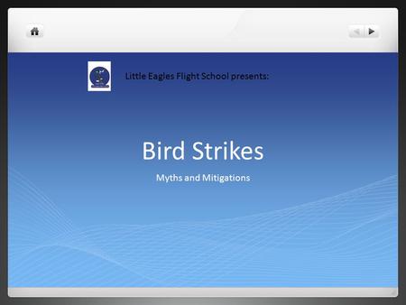 Bird Strikes Myths and Mitigations Little Eagles Flight School presents: