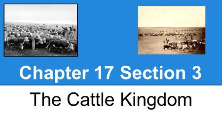 Chapter 17 Section 3 The Cattle Kingdom.