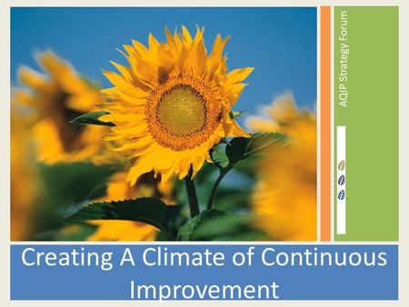 AQIP Strategy Forum Creating A Climate of Continuous Improvement.