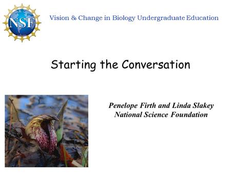 Vision & Change in Biology Undergraduate Education Penelope Firth and Linda Slakey National Science Foundation Starting the Conversation.